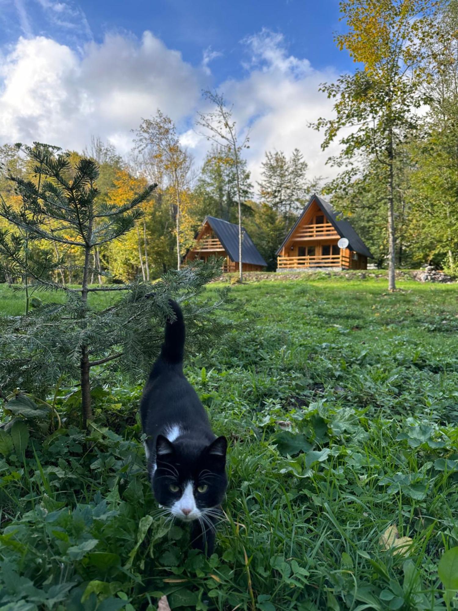 Ethno Village Long Story Kolaşin Dış mekan fotoğraf